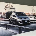 canvas print malta car