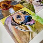 canvas print malta pets